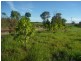56 Mill Road, Childers QLD 4660