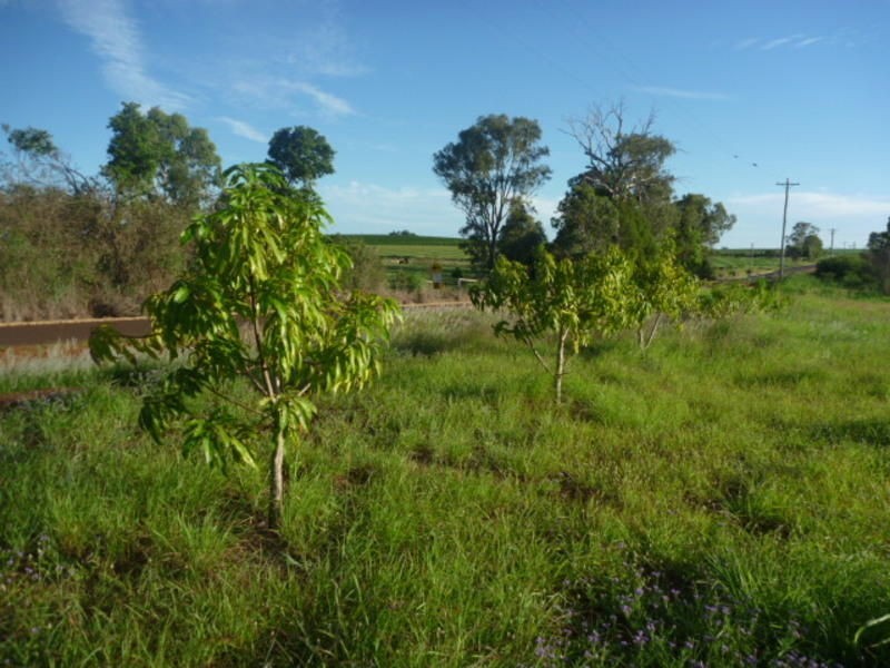 56 Mill Road, Childers QLD 4660