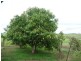 56 Mill Road, Childers QLD 4660