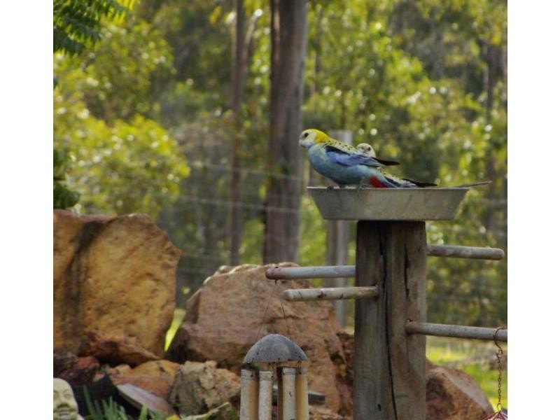 82 Bunns Road, Apple Tree Creek QLD 4660