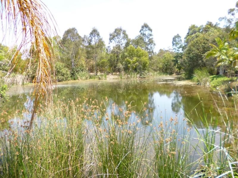 188 North Isis Road, Childers QLD 4660