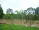 Apple Tree Creek QLD 4660