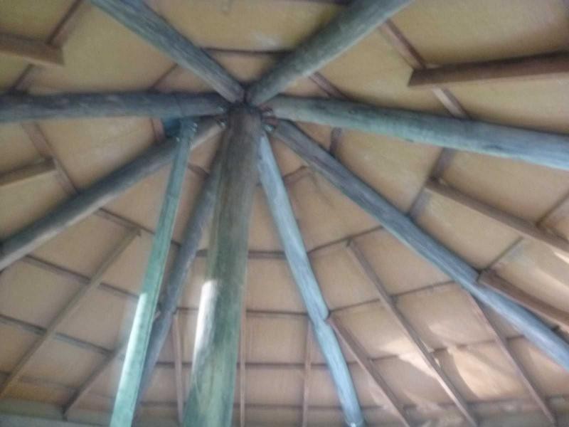 Apple Tree Creek QLD 4660