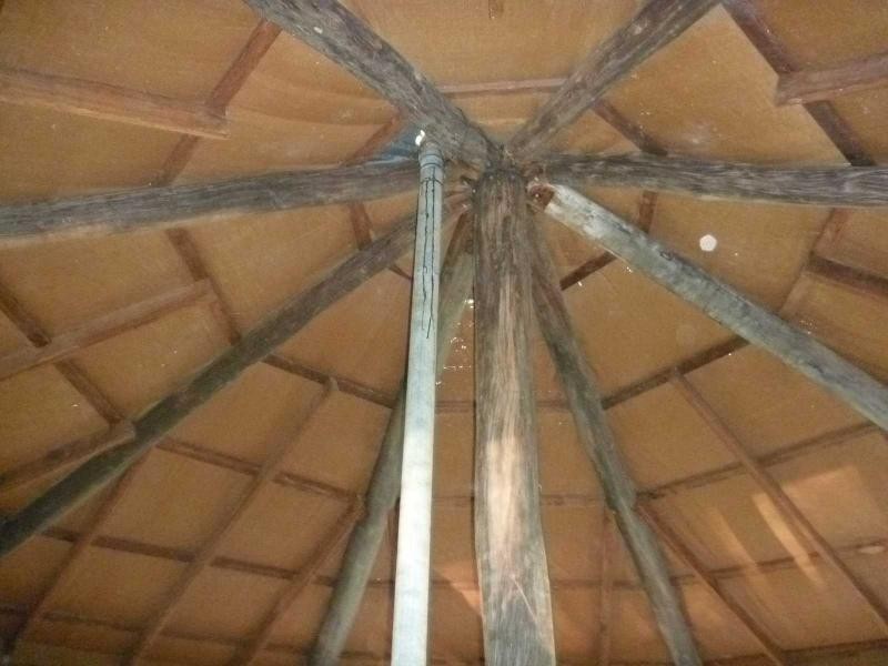 Apple Tree Creek QLD 4660