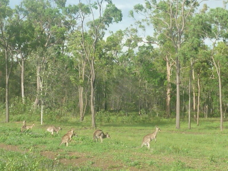 31 Yalla Lane, Redridge QLD 4660