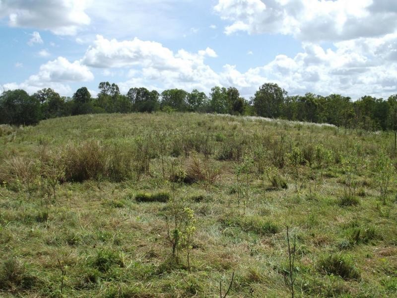 L11 Walla Island Road, Wallaville QLD 4671