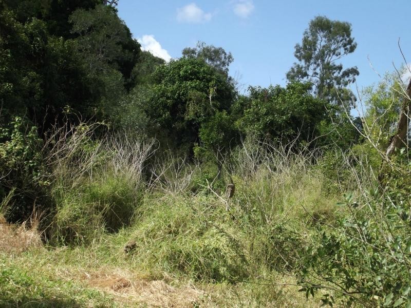 L11 Walla Island Road, Wallaville QLD 4671