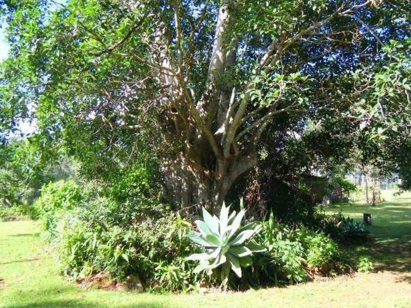 229 Christensen Road, Booyal QLD 4671