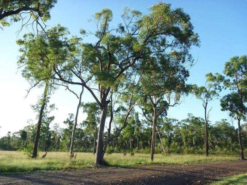 Lot 24-43 One World Drive, Childers QLD 4660