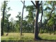 Lot 24-43 One World Drive, Childers QLD 4660