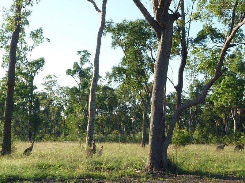 Lot 24-43 One World Drive, Childers QLD 4660