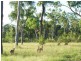 Lot 24-43 One World Drive, Childers QLD 4660
