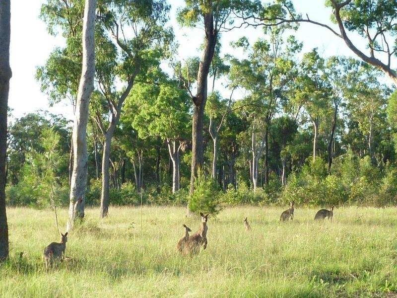 Lot 24-43 One World Drive, Childers QLD 4660