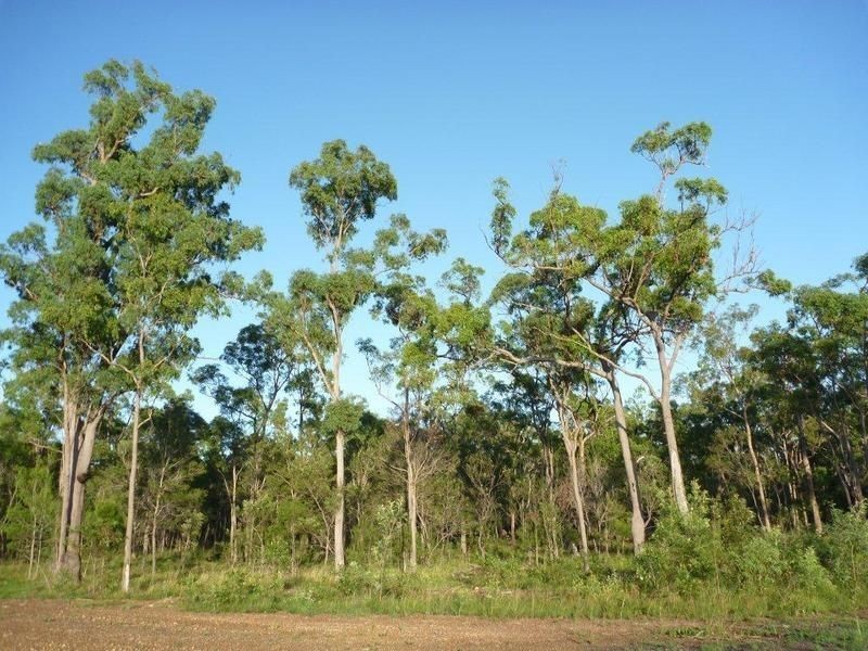 Lot 24-43 One World Drive, Childers QLD 4660