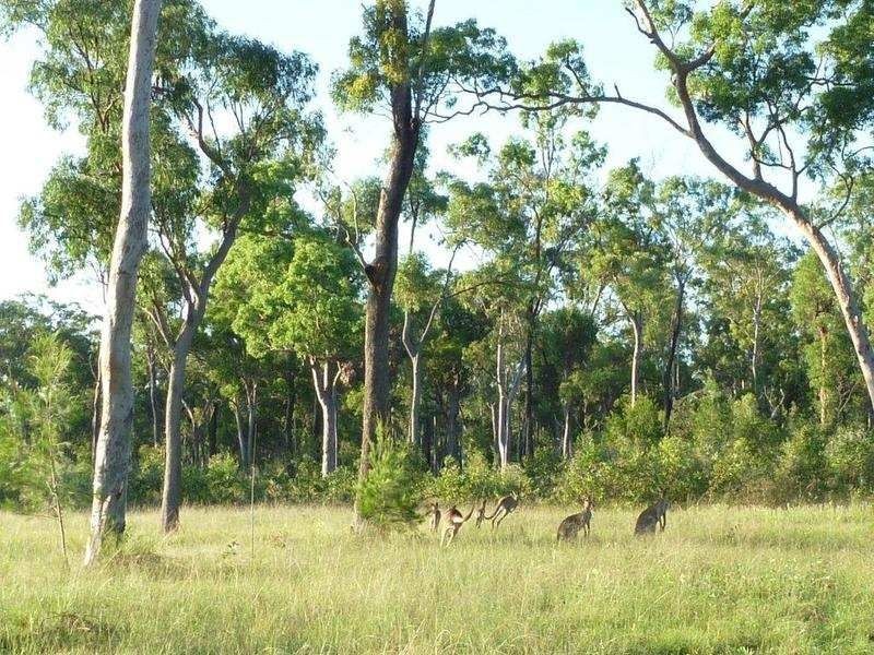 Lot 24-43 One World Drive, Childers QLD 4660