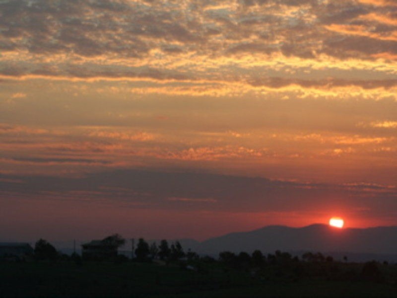 44 Coleman Road, Booyal QLD 4671