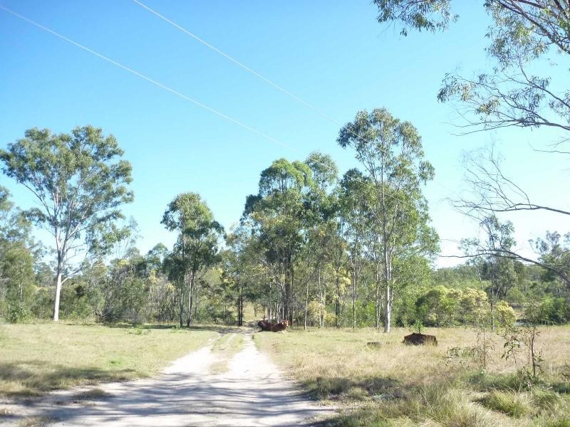 228 Bunns Road, Apple Tree Creek QLD 4660