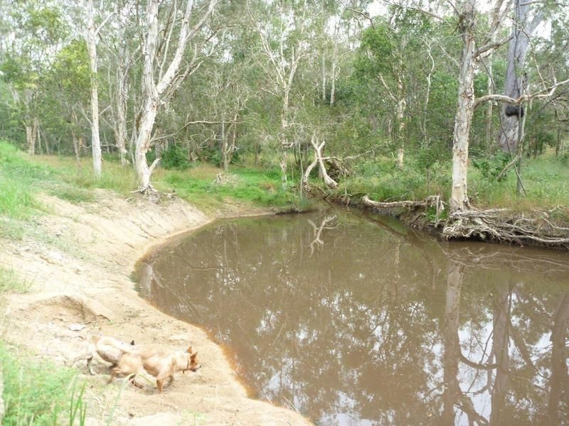 178 Stocks Road, Apple Tree Creek QLD 4660