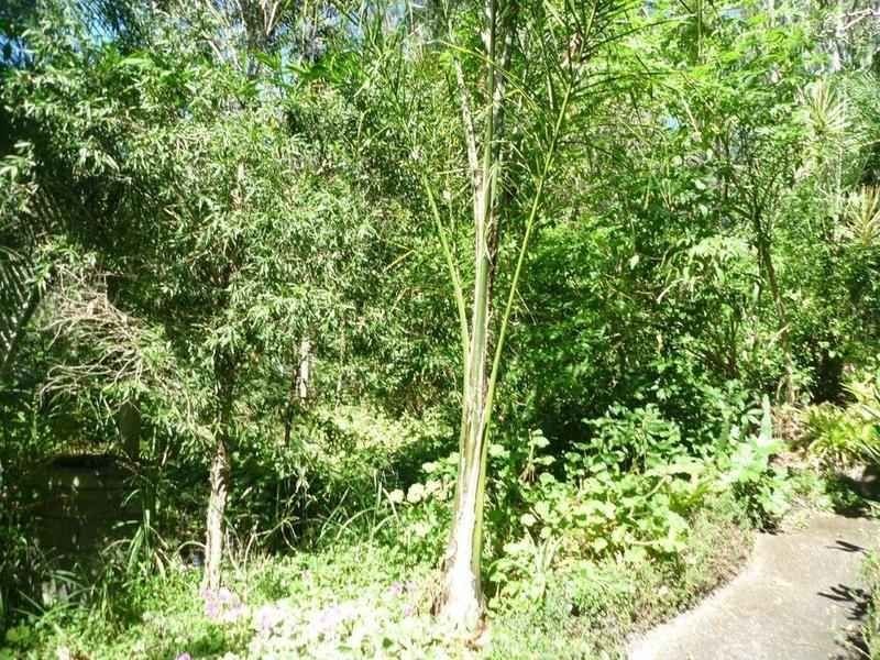 22 Mill Street, Apple Tree Creek QLD 4660