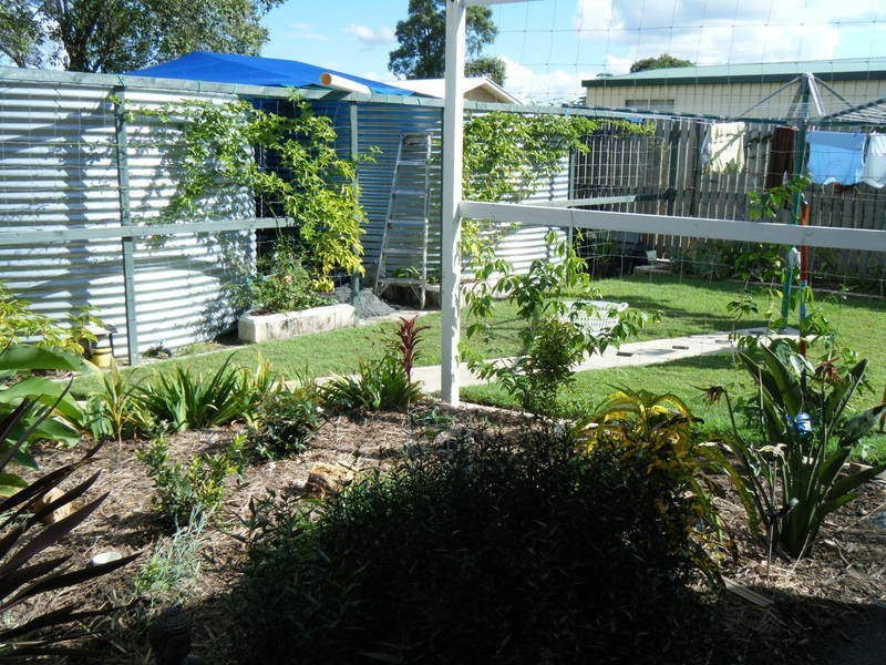 21 Leonard Court, Cordalba QLD 4660