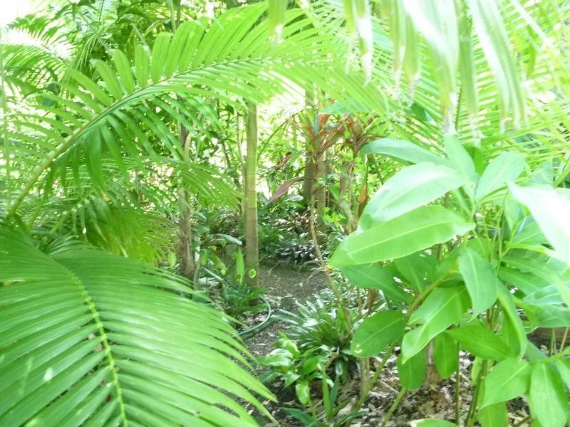 Buxton QLD 4660