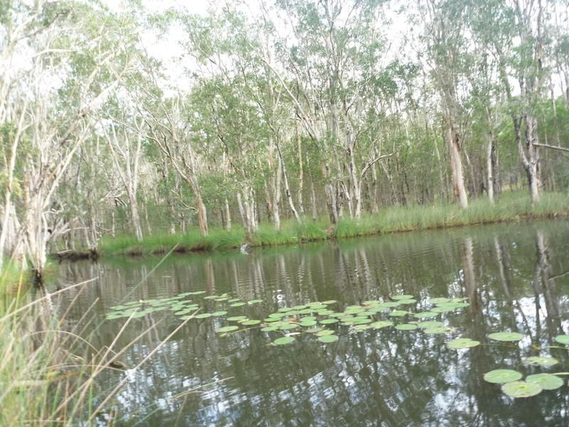 46 Ross Camp Road, Childers QLD 4660