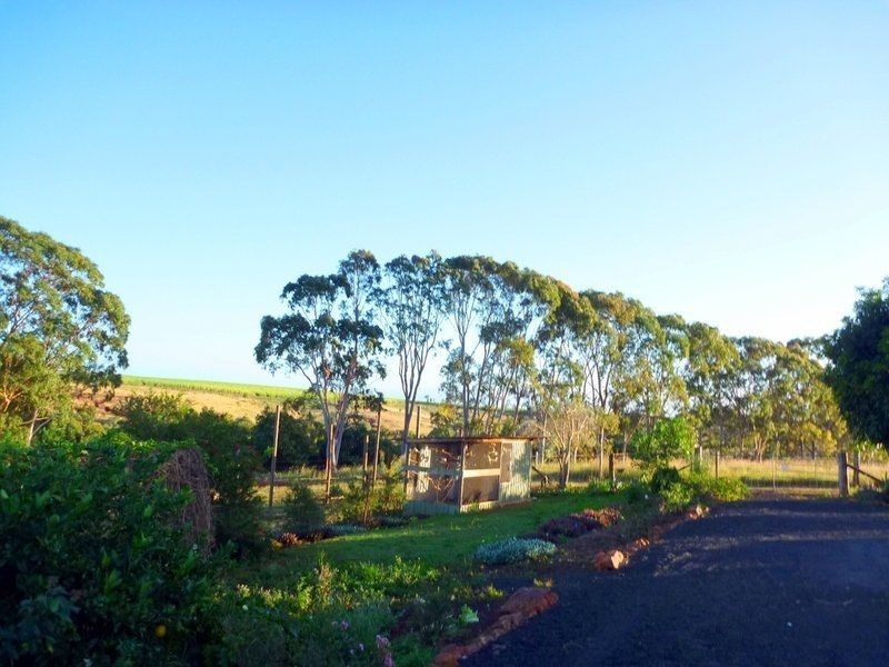 213 Atc Hall Road, Apple Tree Creek QLD 4660