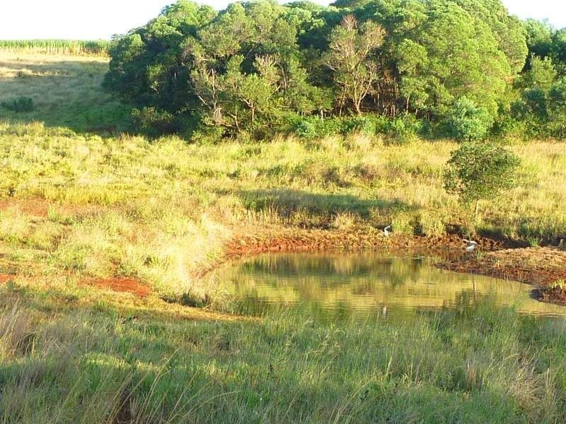 213 Atc Hall Road, Apple Tree Creek QLD 4660