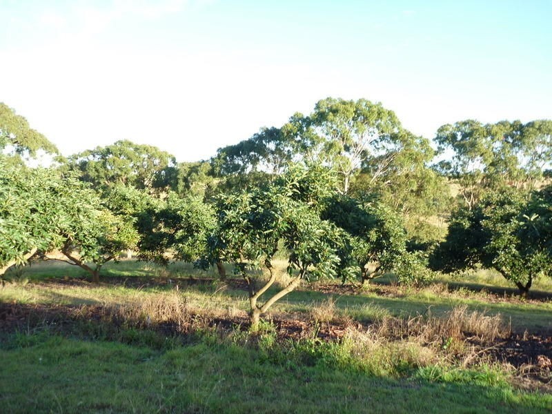 213 Atc Hall Road, Apple Tree Creek QLD 4660