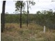 278 Mt Goonaneman Road, Dallarnil QLD 4621
