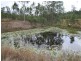 278 Mt Goonaneman Road, Dallarnil QLD 4621