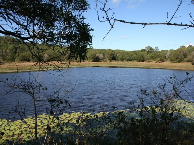 L14 Harney Street, Childers QLD 4660