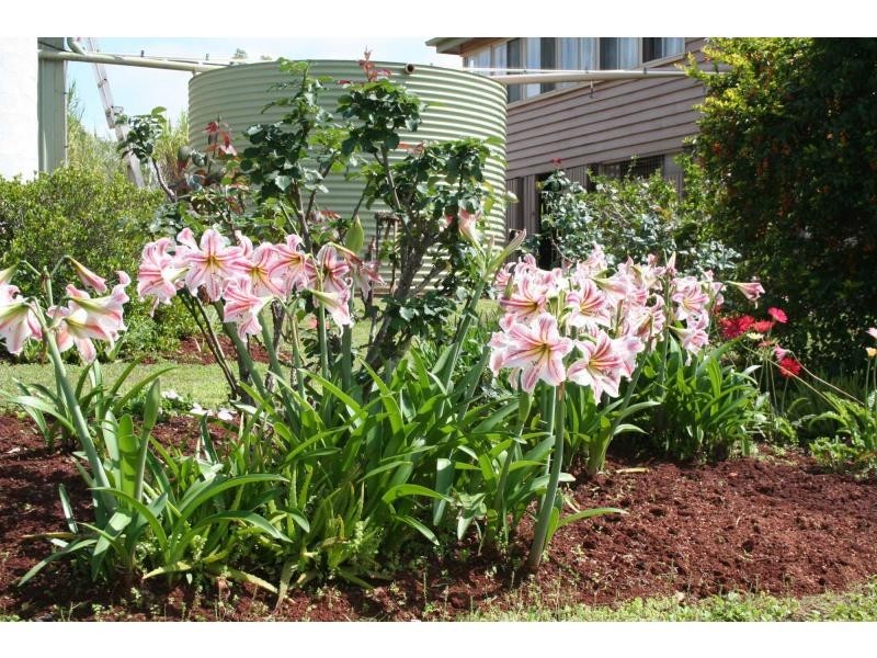 299 Hodges Road, Cordalba QLD 4660