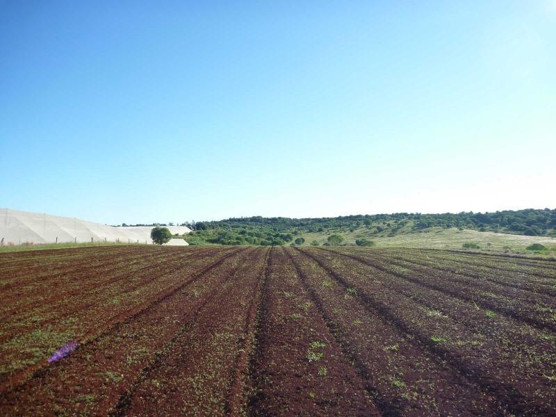 Childers QLD 4660