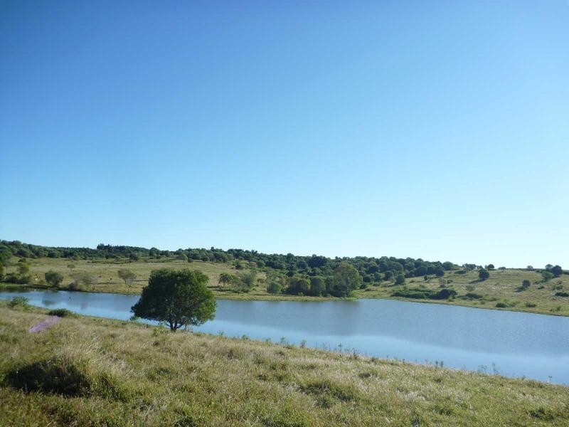 Childers QLD 4660