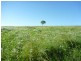 Childers QLD 4660