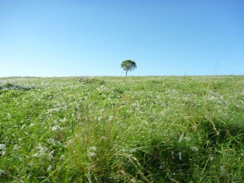 Childers QLD 4660