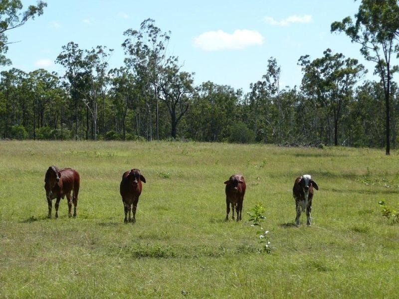 Lot 45 Corfeild Drive, Eureka QLD 4660