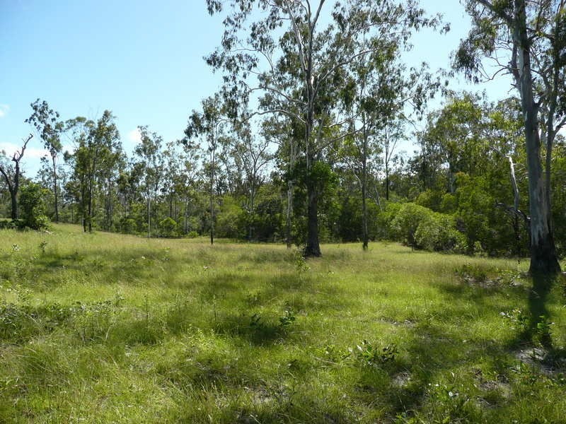 Lot 45 Corfeild Drive, Eureka QLD 4660