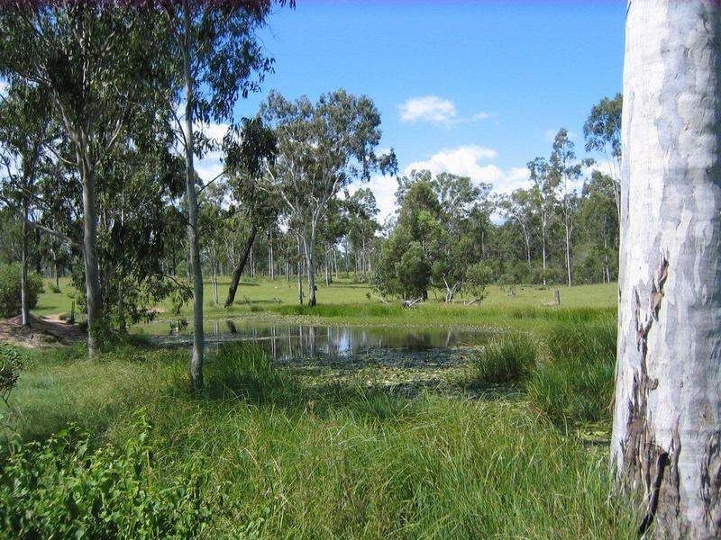Lot 28 Corfeild Drive, Eureka QLD 4660