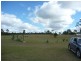 Eureka QLD 4660