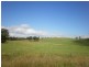 463 Mt Shamrock Road, Biggenden QLD 4621