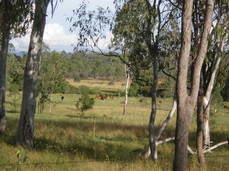463 Mt Shamrock Road, Biggenden QLD 4621