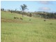 463 Mt Shamrock Road, Biggenden QLD 4621