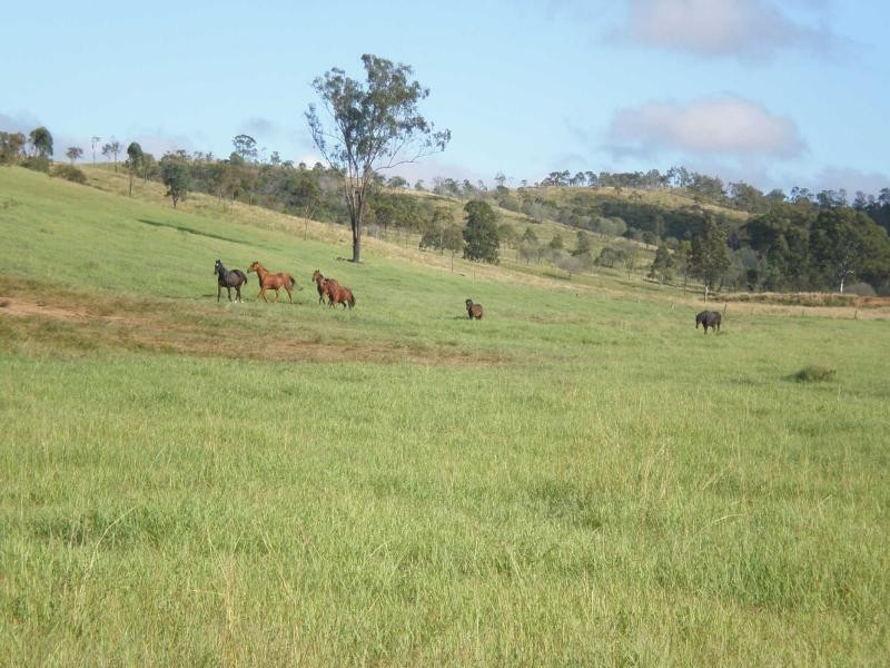463 Mt Shamrock Road, Biggenden QLD 4621