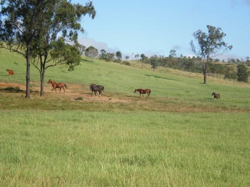 463 Mt Shamrock Road, Biggenden QLD 4621