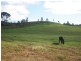 463 Mt Shamrock Road, Biggenden QLD 4621