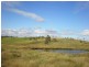 463 Mt Shamrock Road, Biggenden QLD 4621