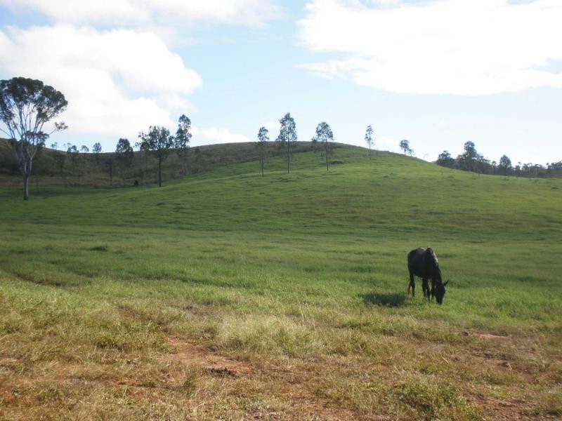 463 Mt Shamrock Road, Biggenden QLD 4621