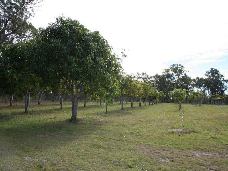 104 Buxton Road, Isis River QLD 4660